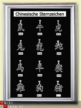 Chinese sterrenbeeld hangers CH311 - 1