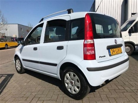 Fiat Panda - 1.2 Active - 1