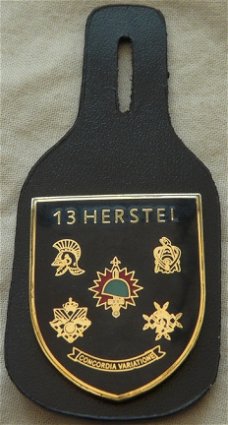 Onderdeels Hanger / Borstzak Hanger, Uniform DT, 13 Herstelcompagnie, KL, jaren'90.(Nr.1)