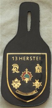 Onderdeels Hanger / Borstzak Hanger, Uniform DT, 13 Herstelcompagnie, KL, jaren'90.(Nr.1) - 2