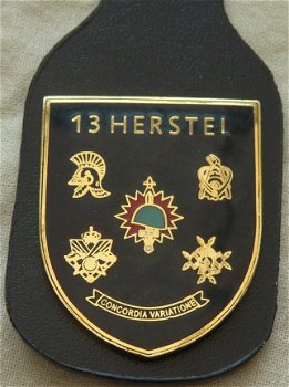 Onderdeels Hanger / Borstzak Hanger, Uniform DT, 13 Herstelcompagnie, KL, jaren'90.(Nr.1) - 3