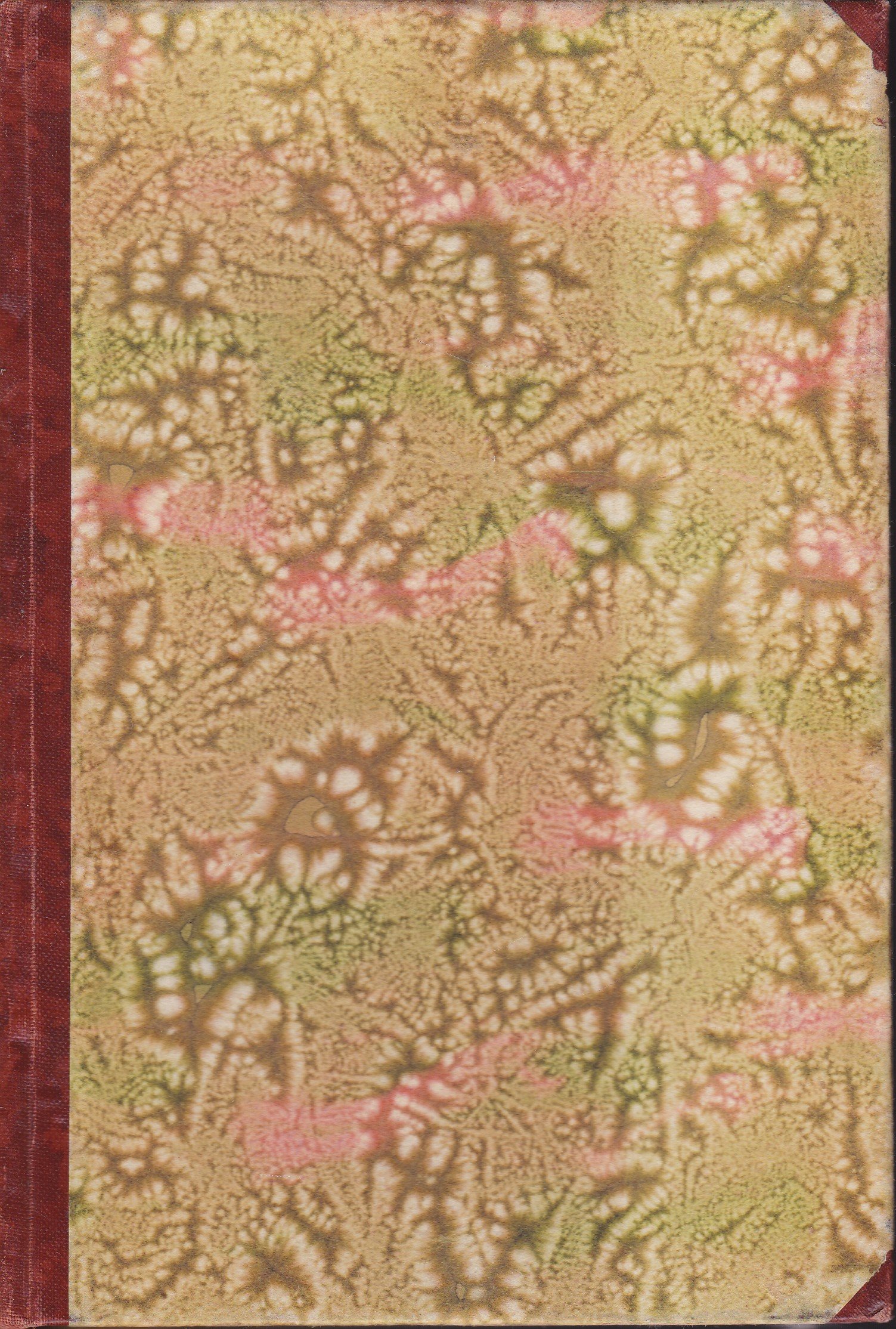 Daniel Defoe: Robinson Crusoe - Afbeelding 2