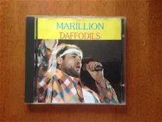Marillion Daffodils