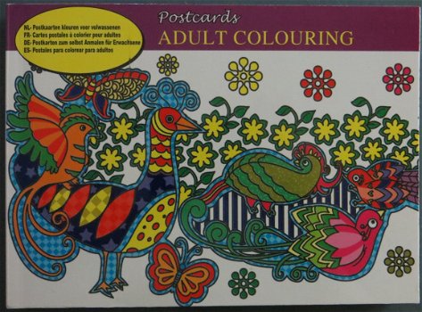 ANSICHTKAARTEN 16,5cm x 12cm --- ADULT COLOURING ---> Vogels op de voorkant - 1