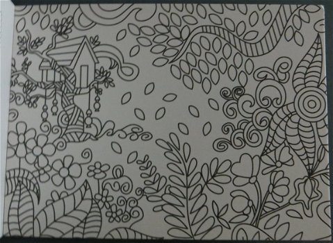 ANSICHTKAARTEN 16,5cm x 12cm --- ADULT COLOURING ---> Vlinders op de voorkant - 6