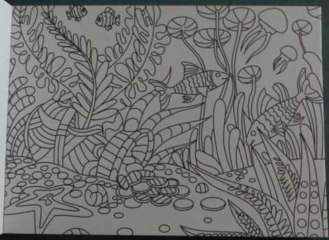 ANSICHTKAARTEN 16,5cm x 12cm --- ADULT COLOURING ---> Vissen op de voorkant - 2