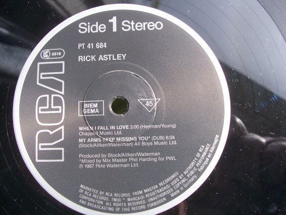 RICK ASTLEY WHEN I FALL IN LOVE - Afbeelding 2