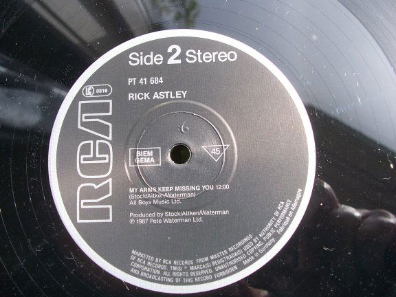 RICK ASTLEY WHEN I FALL IN LOVE - Afbeelding 3