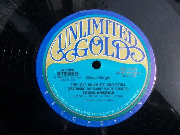 THE LOVE UNLIMITED ORCHESTRA YOUNG AMERICA - Afbeelding 2