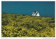 Frankrijk Ginsterveld und Hotel am Pointe du Raz - 1 - Thumbnail