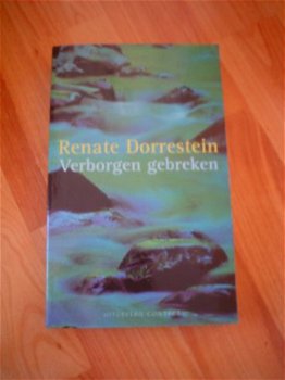 Verborgen gebreken door Renate Dorrestein - 1