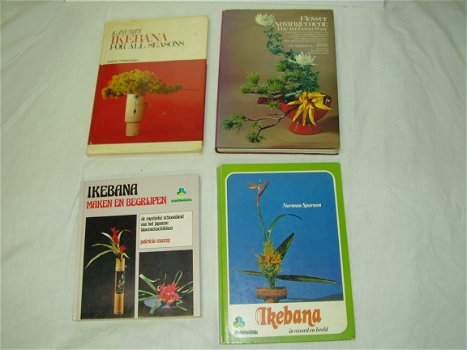 Collectie Ikebana (doos 24) - 2
