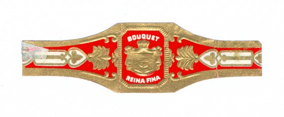 Bouquet Reina Fina - Fabrieksbandje - 1
