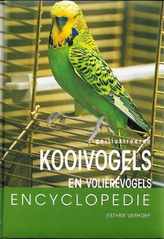 Kooivogels en volièrevogels - 1