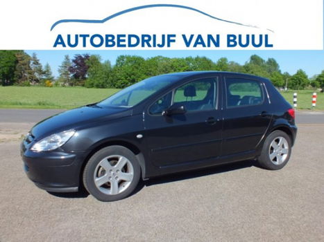 Peugeot 307 - 2.0 16V XSI 5-Deurs 2002 Leder Clima 16