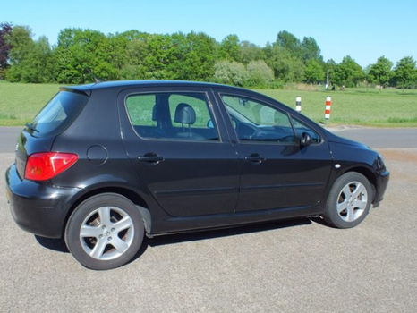 Peugeot 307 - 2.0 16V XSI 5-Deurs 2002 Leder Clima 16