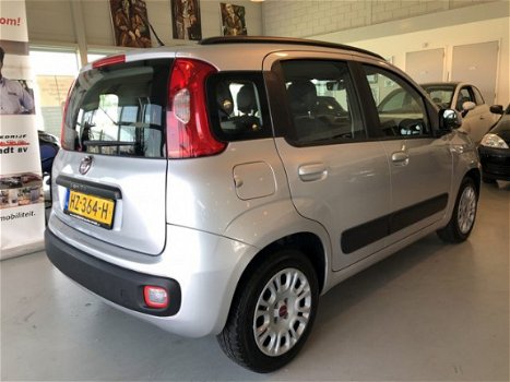 Fiat Panda - 1.2 (4 cilinder) EDIZIONE 5 DEURS COOL AIRCO - 1