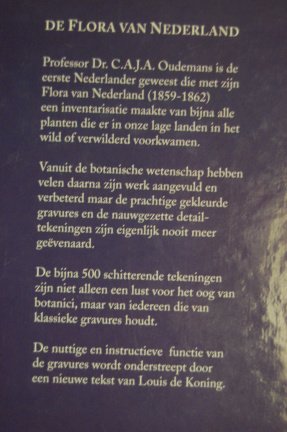De flora van Nederland - Afbeelding 7
