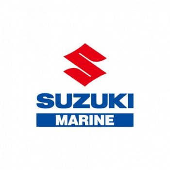 Suzuki DF9.9BRL - 2