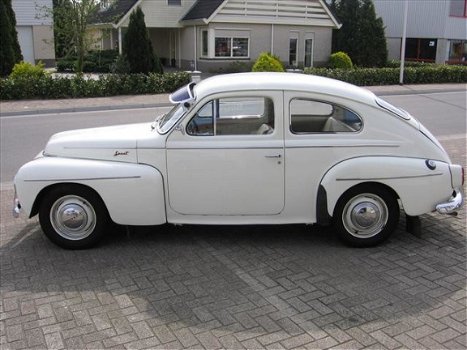 Volvo PV544 - P544 1600 SPORT - 1