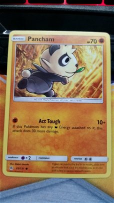 Pancham  65/131 common  S & M Forbidden Light