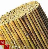TUINSCHERMEN bamboe 2X5MTR € 39,99 - 1