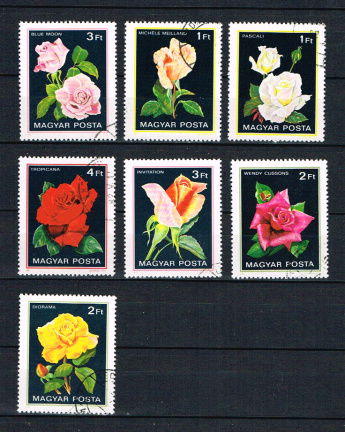 Bloemen Magyar (nr 33) - nr. 1