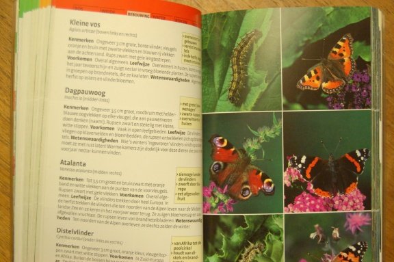 Natuurgids voor onderweg - Afbeelding 4