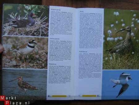 De grote Natuurgids voor iedereen - 4