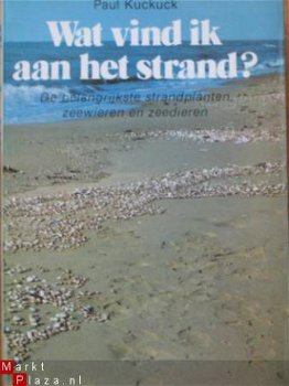 Wat vind ik aan het strand? - 1