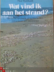 Wat vind ik aan het strand?