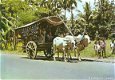 Indonesie Gerobag an old vehicle from central Java - 1 - Thumbnail
