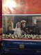 Maxima en Willem-Alexander - Het Complete Verlovings en Huwelijksfeest (DVD) NOS - 1 - Thumbnail