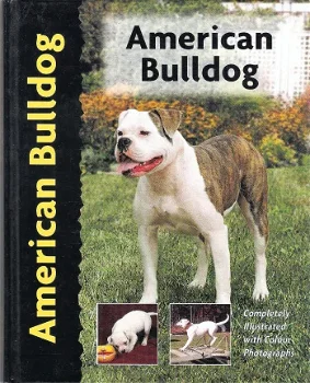 American Bulldog - 0