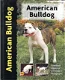 American Bulldog - 0 - Thumbnail