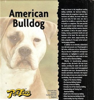American Bulldog - 1