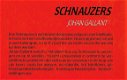Schnauzers - 1 - Thumbnail