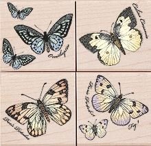 Houten Stempel set Poetic Prints Papillons in doosje van Hero Arts - 1