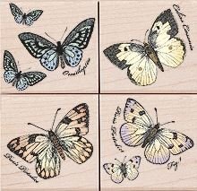 Houten Stempel set Poetic Prints Papillons in doosje van Hero Arts. - 1