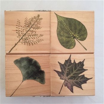 Houten Stempel set Poetic Prints Real Leaves in doosje van Hero Arts. - 1