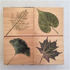 Houten Stempel set Poetic Prints Real Leaves in doosje van Hero Arts..