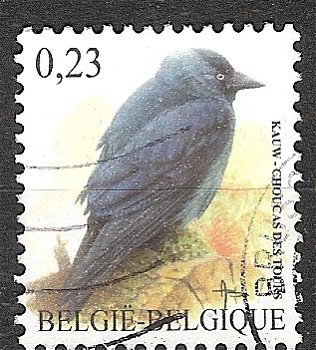 belgie 44 - 0