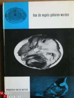Hoe de vogels geboren worden