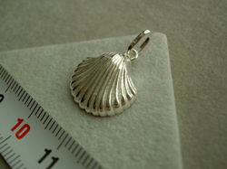 Zilveren kokkel - schelp hanger