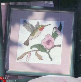 borduurpatroon 312 kolibrie - 1