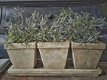 Plantjes van kunststof merk Brynxz - 1 - Thumbnail