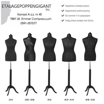 Paspop - Buste Div. Maten: 34 tm 42-44 Etalagepoppengigant - 3