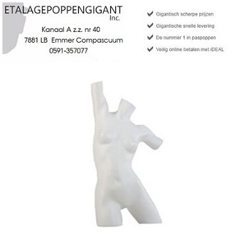 Dames Torso Model Badmode - Lingerie - Sportmode EPG - 1