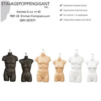 Hang Torso's / Torso / Hang div. kleuren Etalagepoppengigant - 1