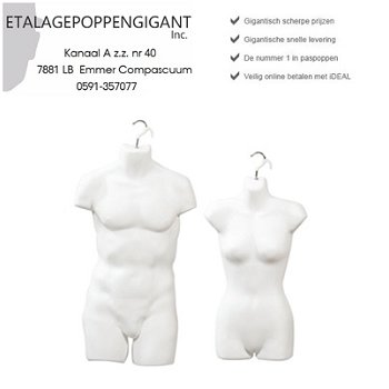 Hang Torso's / Torso / Hang div. kleuren Etalagepoppengigant - 4